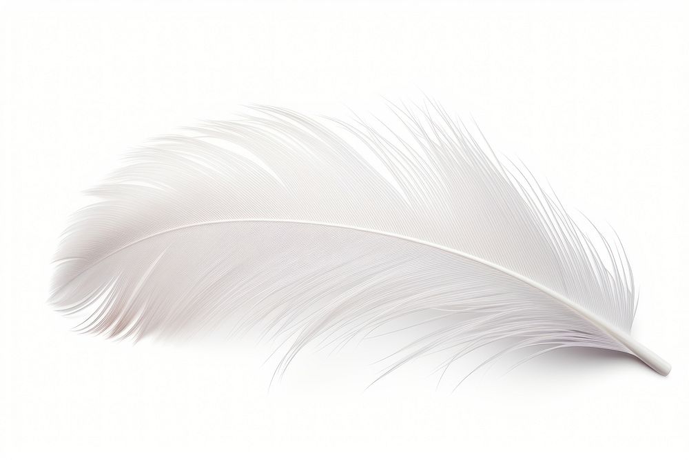 White bird feather.  AI generated Image by rawpixel.