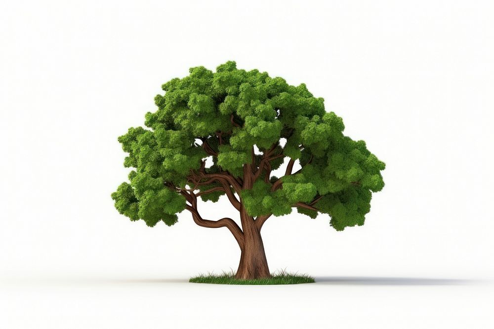 Tree plant white background outdoors. AI generated Image by rawpixel.