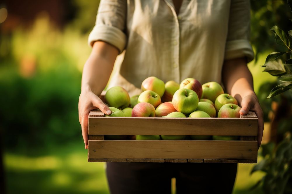 Gathering apple fruit plant. AI generated Image by rawpixel.