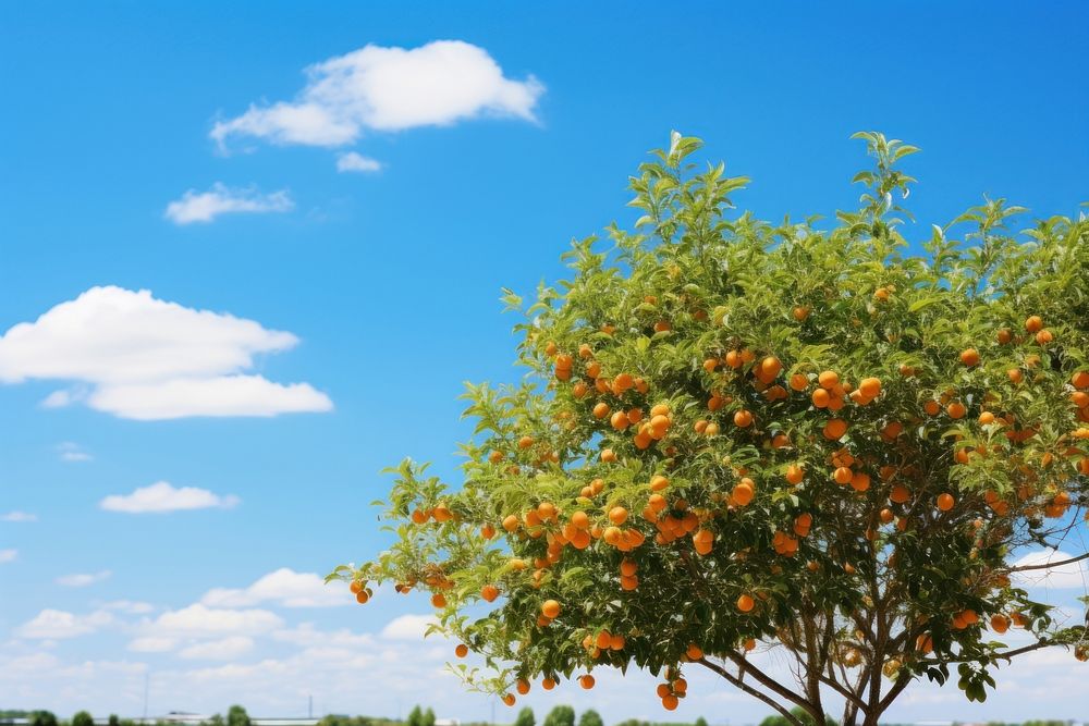 Orange trees sky outdoors nature. AI generated Image by rawpixel.