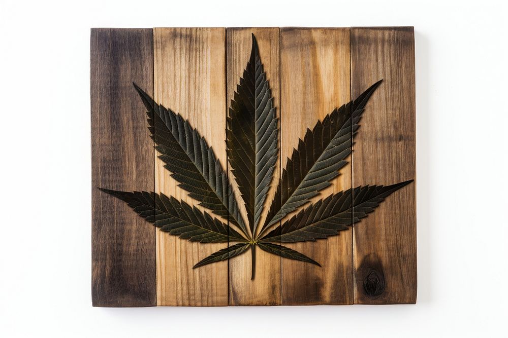 Leaf cannabis plant wood. AI generated Image by rawpixel.