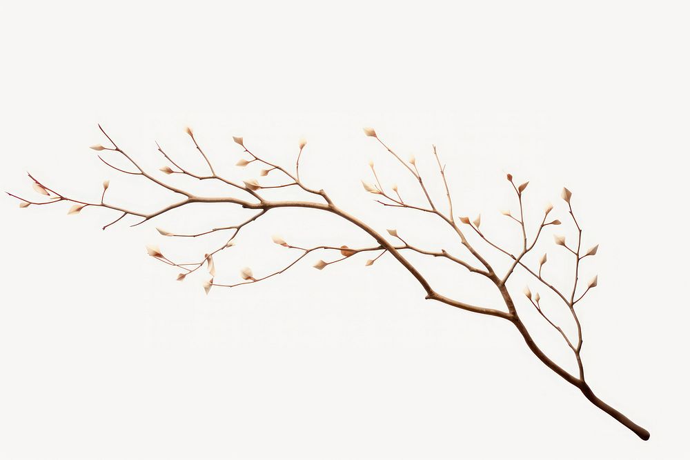 Decorative leaf branch. AI generated Image by rawpixel.