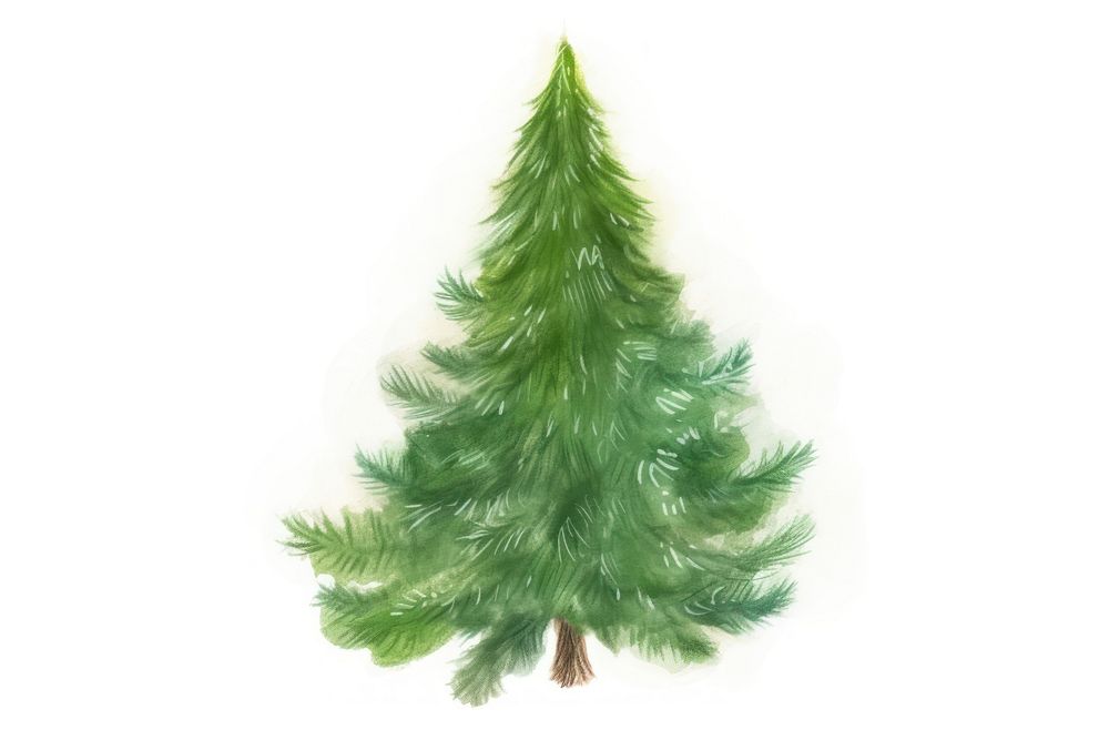 Christmas tree drawing plant pine. AI generated Image by rawpixel.