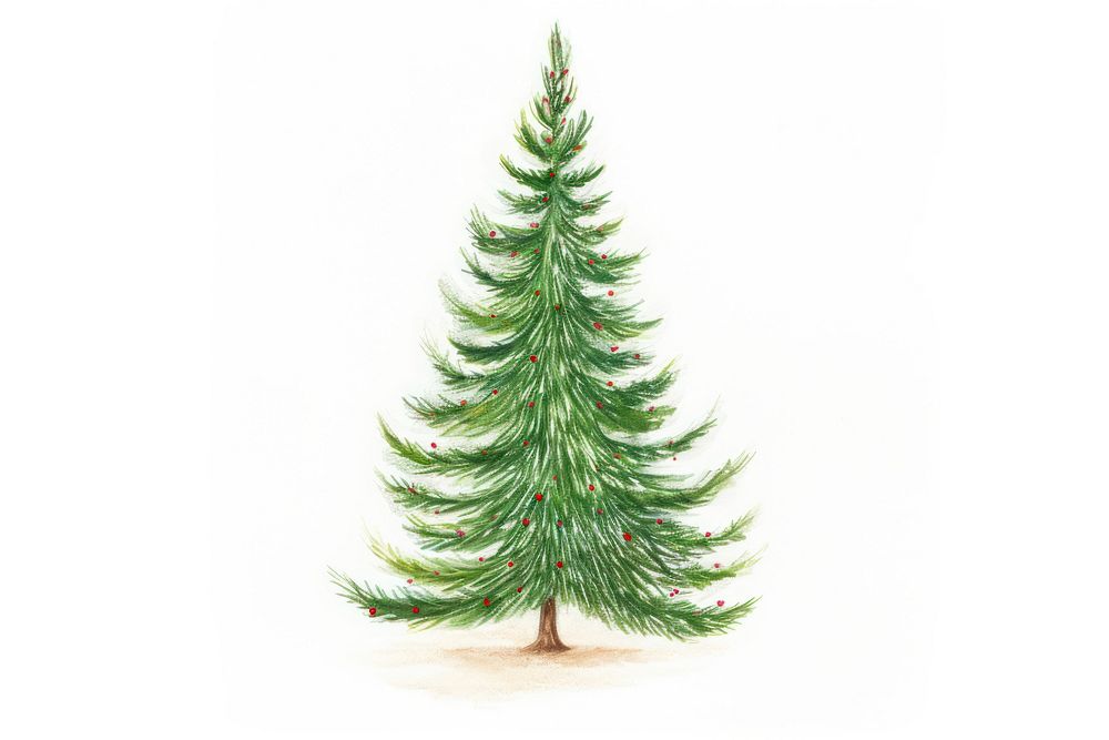 Christmas tree drawing plant pine. AI generated Image by rawpixel.