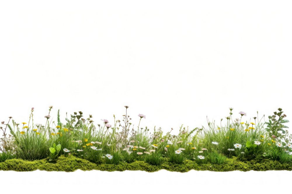 Meadow field grassland landscape. AI generated Image by rawpixel.