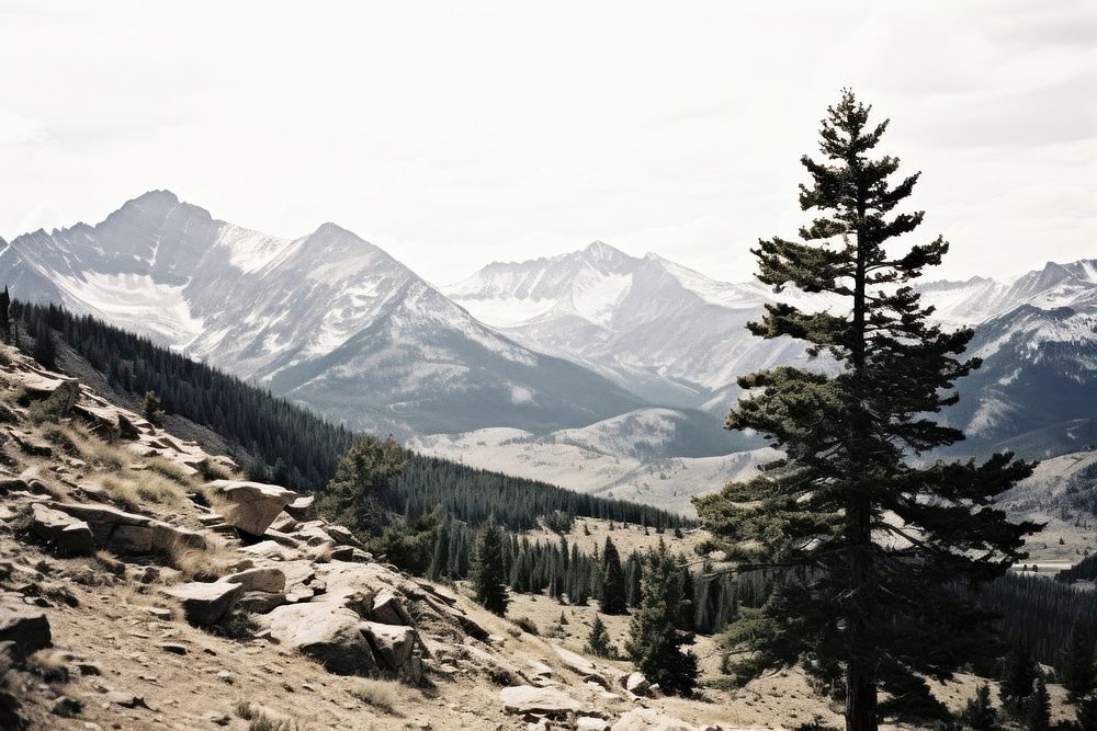 Rocky mountain national park wilderness landscape outdoors. AI generated Image by rawpixel.