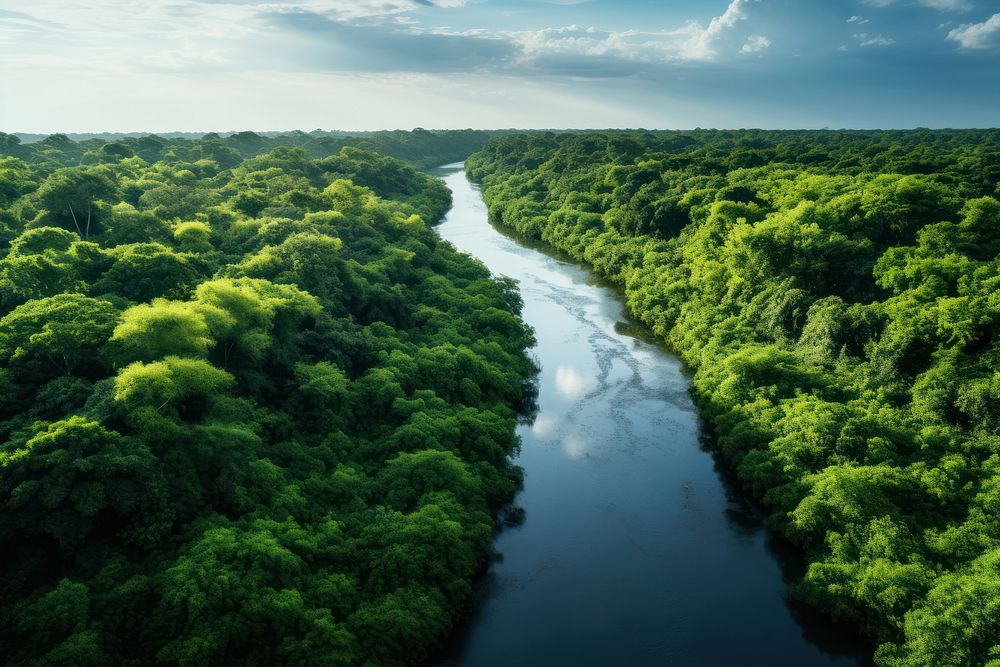 Amazon River nature river. AI generated Image by rawpixel.