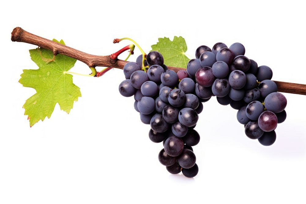 Wine grapes fruit plant food. AI generated Image by rawpixel.