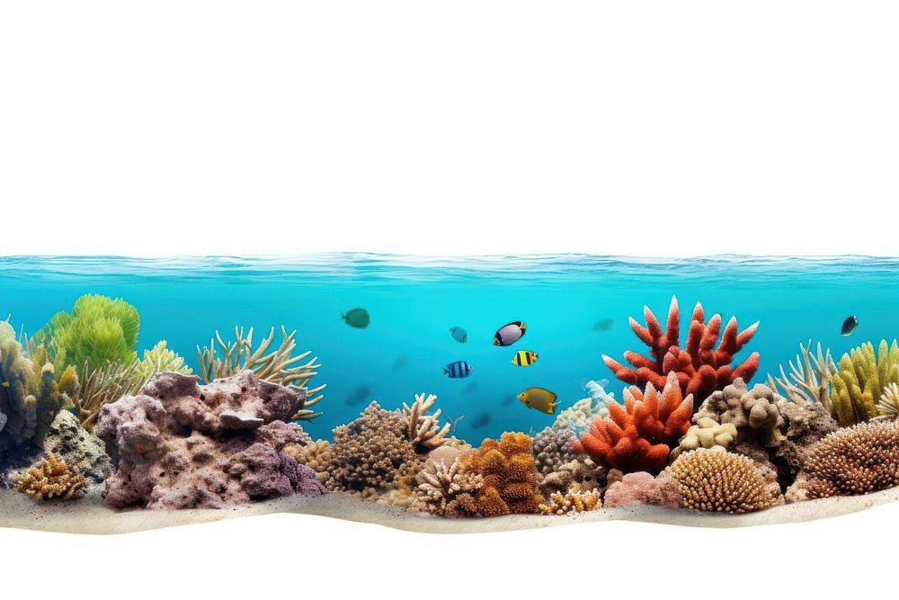Great barrier reef aquarium outdoors nature. AI generated Image by rawpixel.