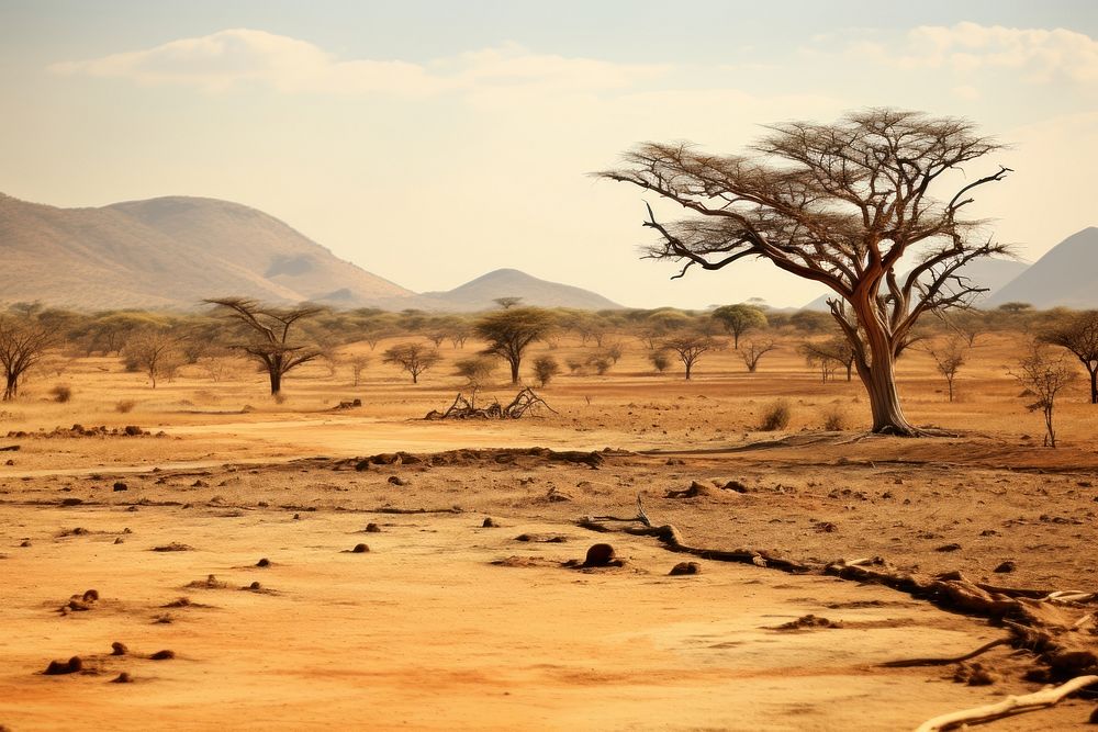 Dry region landscape grassland outdoors savanna. AI generated Image by rawpixel.