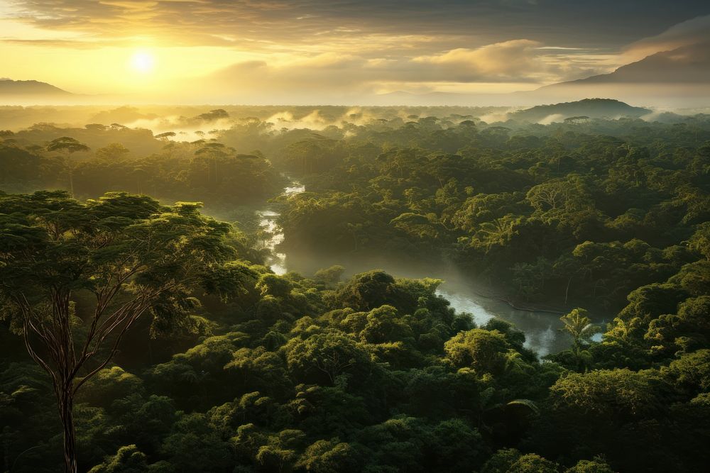 Tropical rainforest vegetation landscape outdoors. AI generated Image by rawpixel.