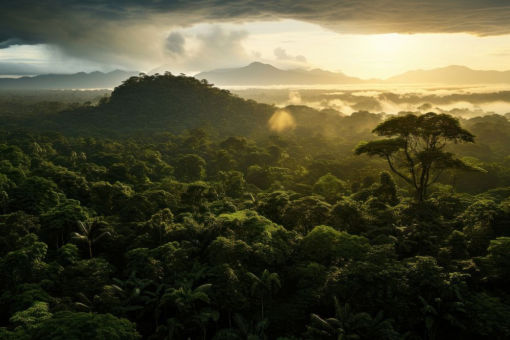 Tropical rainforest landscape outdoors nature. AI generated Image by rawpixel.
