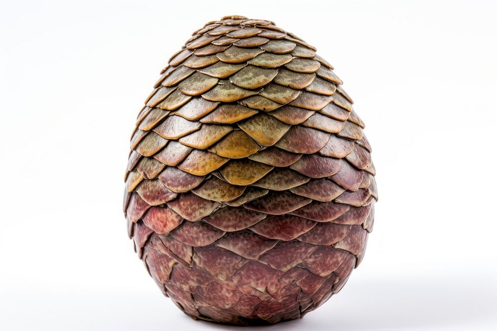 Dragon egg food ammunition pineapple. | Free Photo - rawpixel