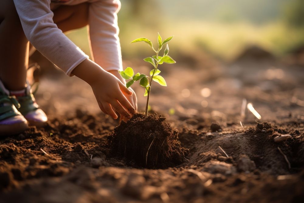 Planting a tree gardening outdoors nature. AI generated Image by rawpixel.