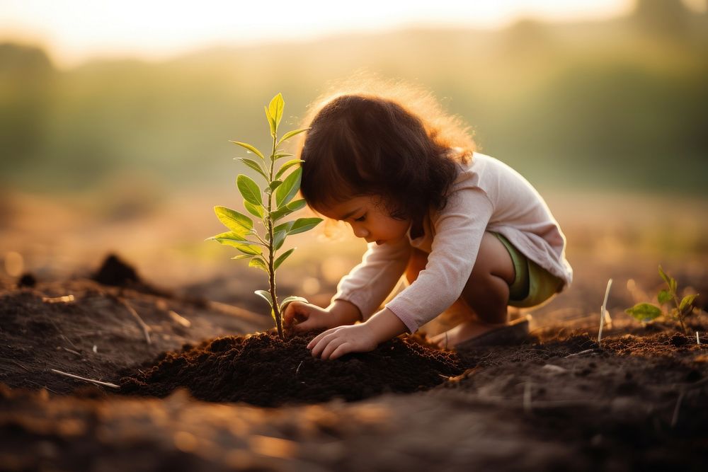 Planting a tree outdoors baby agriculture. 