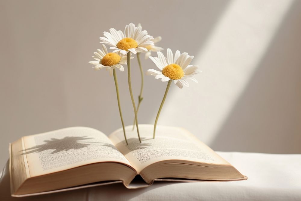 Daisy flower plant book publication. AI generated Image by rawpixel.