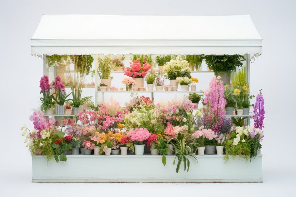 Flower shop plant arrangement centrepiece. AI generated Image by rawpixel.