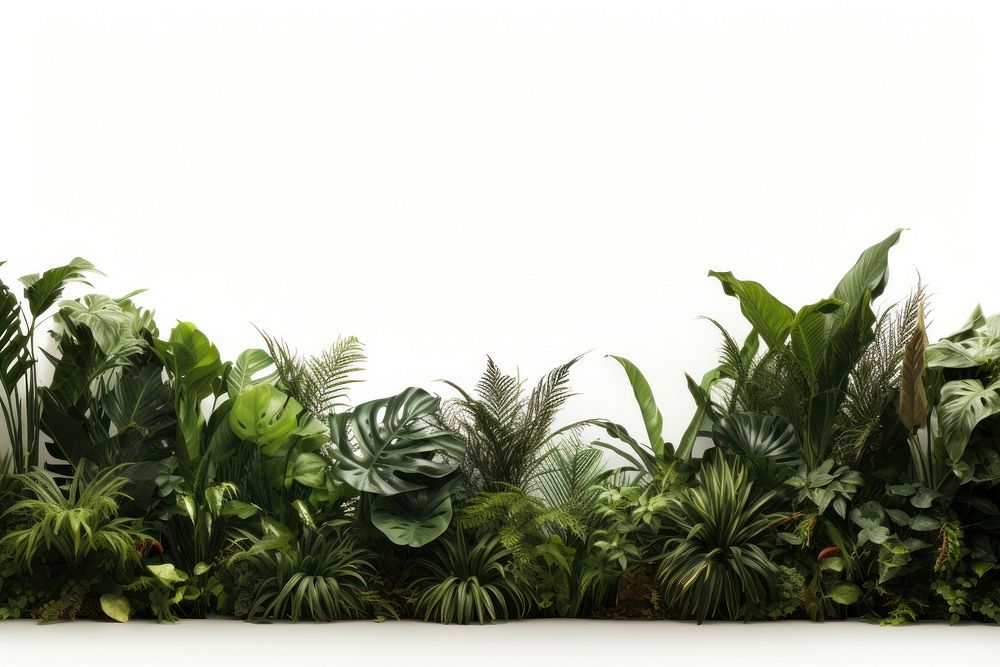 Jungle nature plant leaf. AI generated Image by rawpixel.