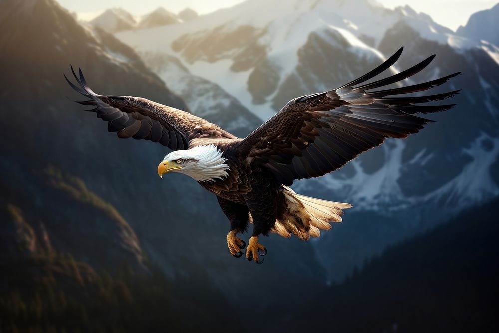 Eagle animal flying bird. 