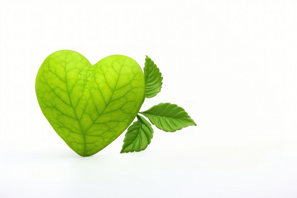 Healthcare plant leaf white background. AI generated Image by rawpixel.