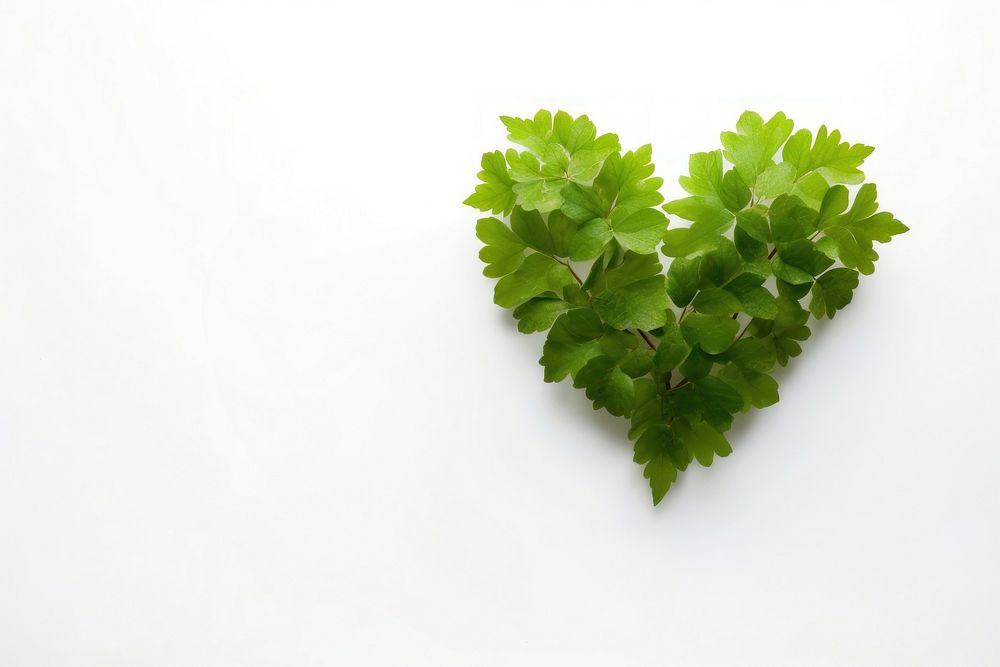 Healthcare parsley plant herbs. AI generated Image by rawpixel.