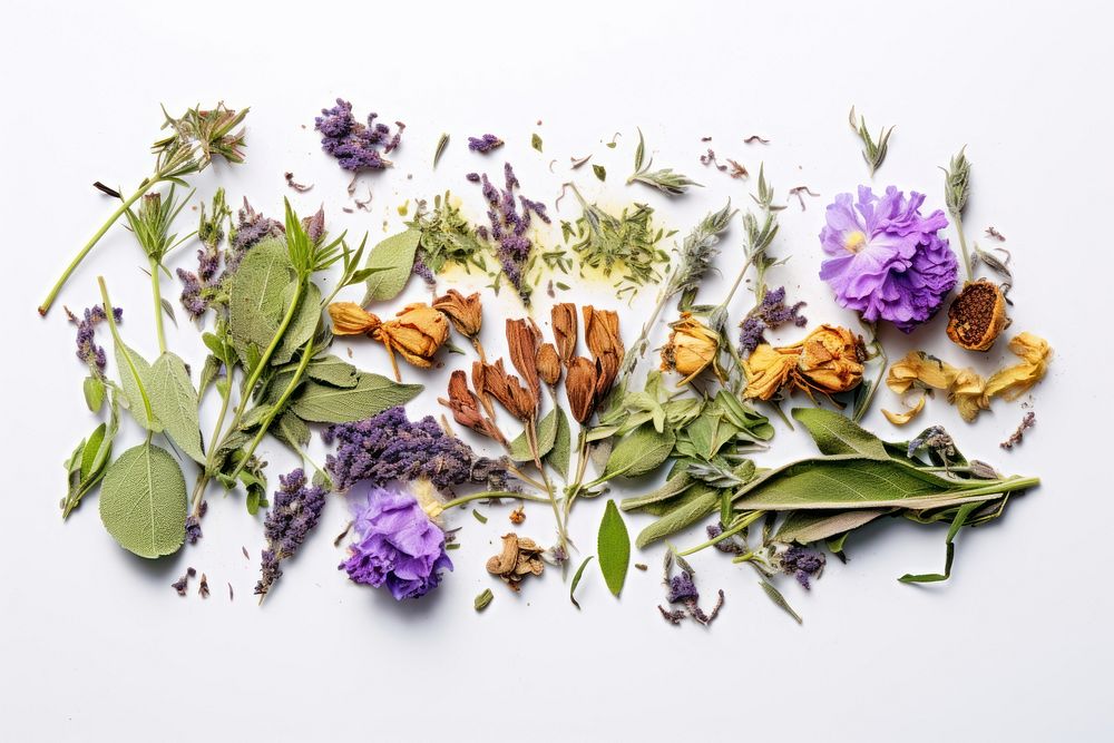 Herbal tea herbs lavender flower. AI generated Image by rawpixel.