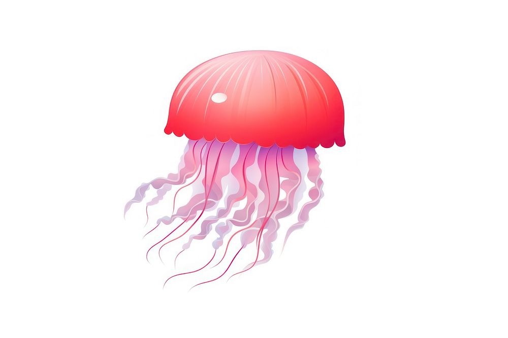 Jellyfish red white background invertebrate. | Free Photo Illustration ...