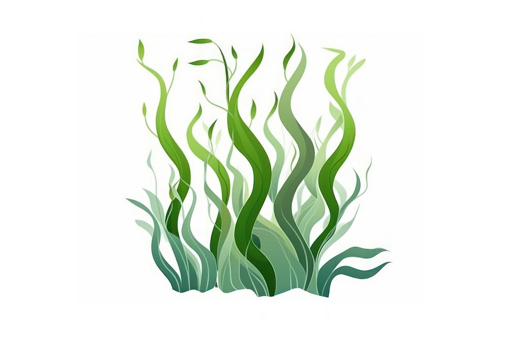 Seaweed plant grass white background. AI generated Image by rawpixel.