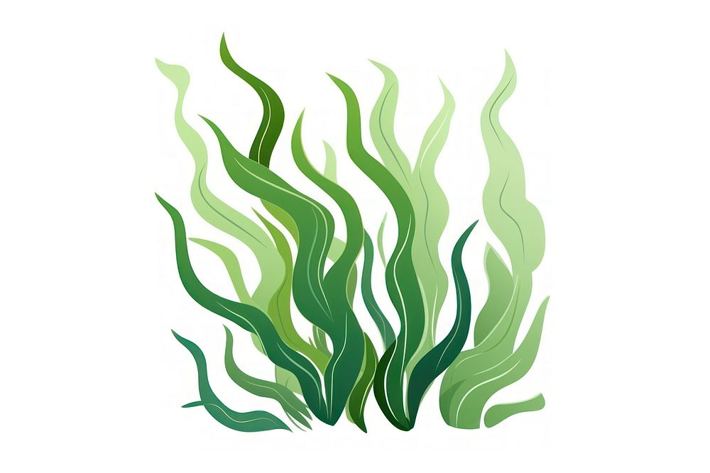 Seaweed green white background underwater. AI generated Image by rawpixel.