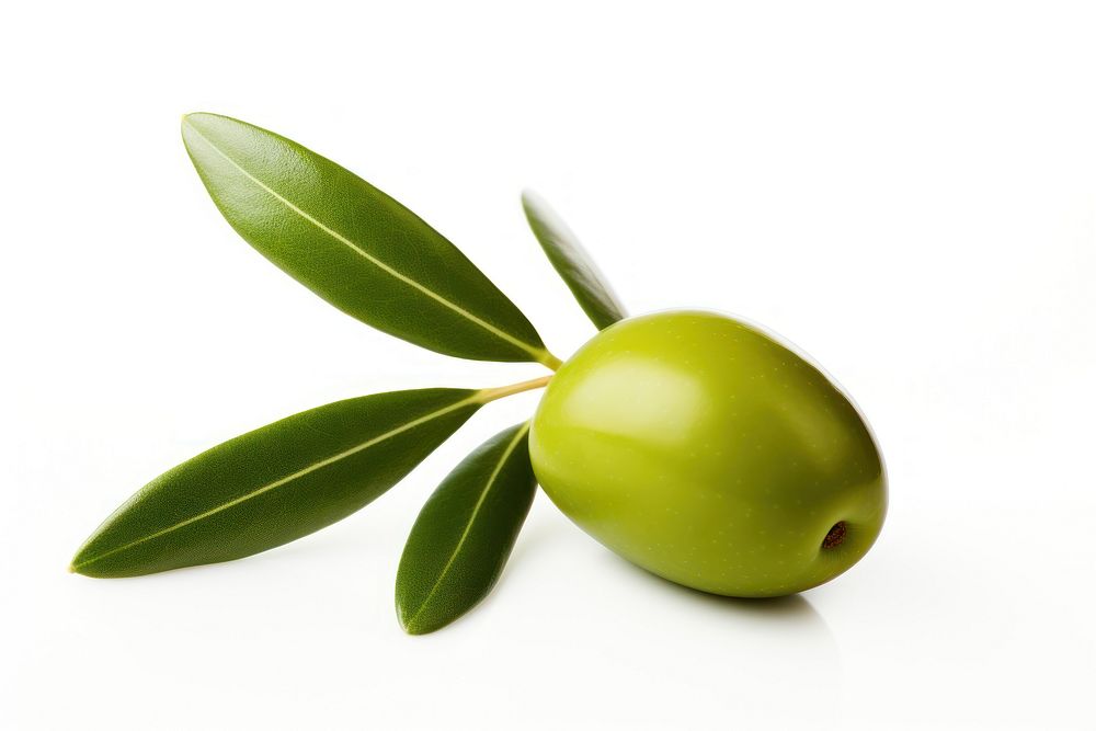 Olive plant food leaf. AI generated Image by rawpixel.