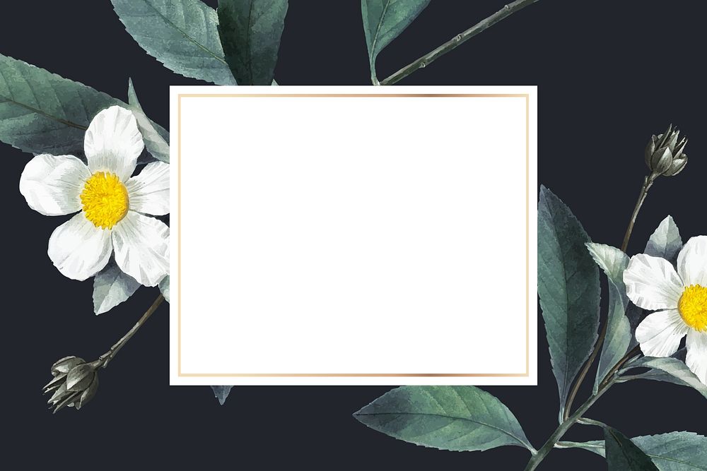 White flower frame aesthetic background