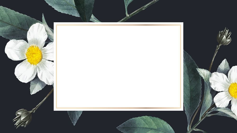 White flower frame desktop wallpaper
