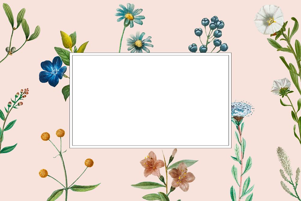 Botanical flower frame aesthetic background