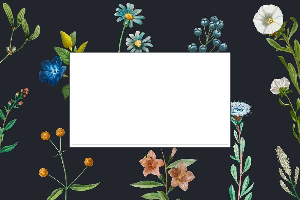 Botanical flower frame aesthetic background