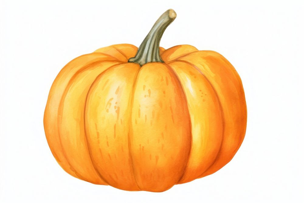 Pumpkin vegetable squash plant. AI generated Image by rawpixel.