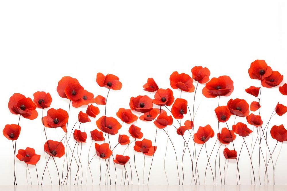 Poppies poppy backgrounds flower. AI generated Image by rawpixel.
