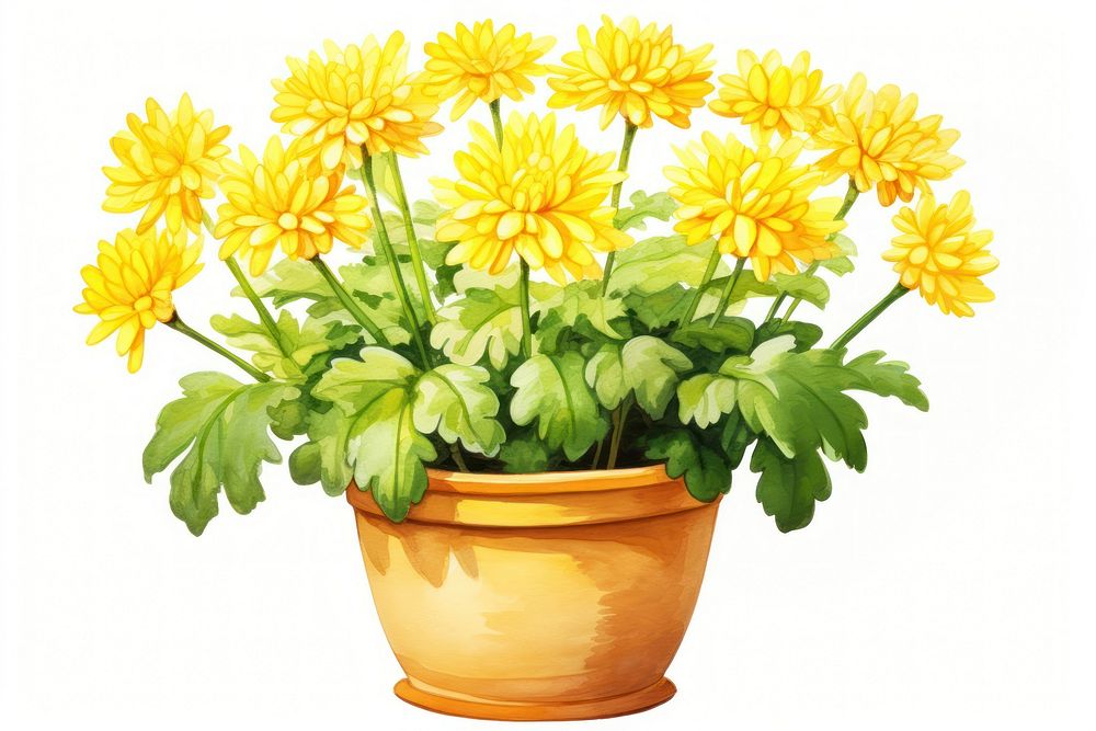 Flower chrysanths yellow plant. AI generated Image by rawpixel.