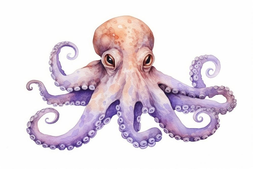 Animal octopus cartoon white background. AI generated Image by rawpixel.