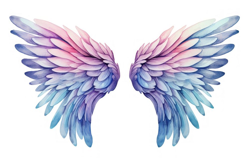 Wings art white background lightweight. | Free Photo Illustration ...