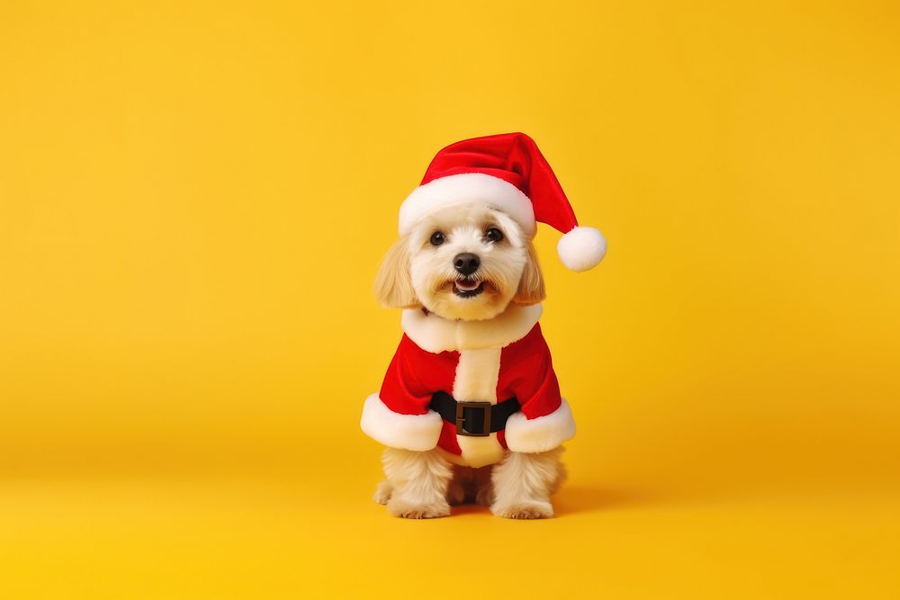 Christmas costume dog mammal animal. AI generated Image by rawpixel.