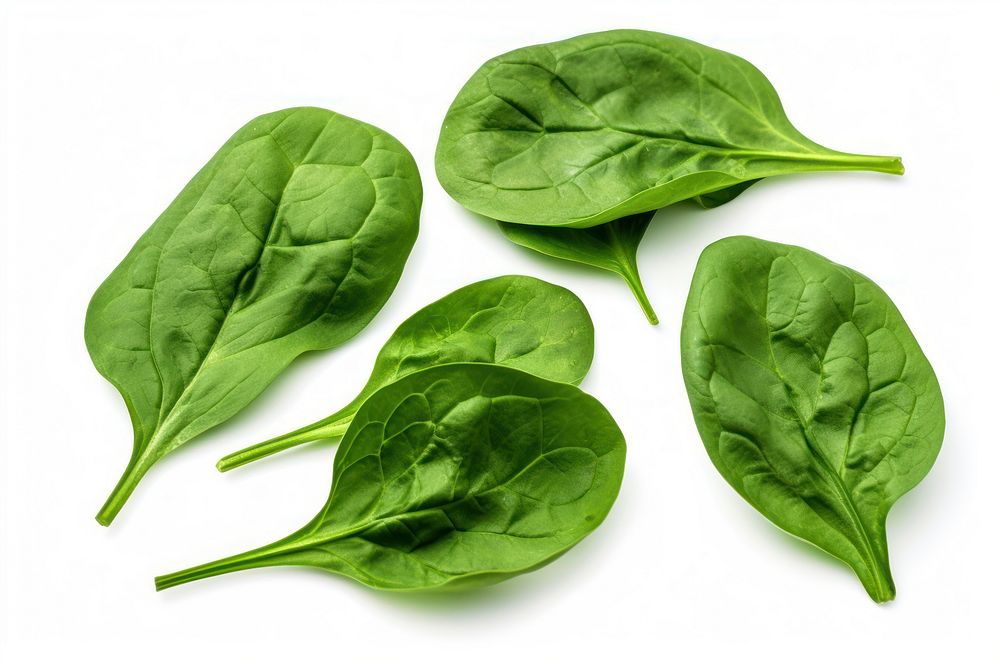 Spinach spinach vegetable plant. AI generated Image by rawpixel.