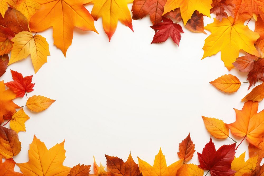 Frame Of Autumn Leaves backgrounds autumn leaves. AI generated Image by rawpixel.