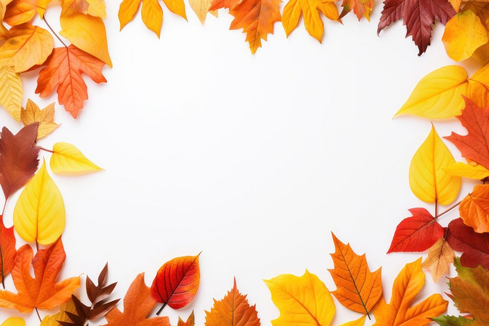 Frame Of Autumn Leaves autumn backgrounds leaves. AI generated Image by rawpixel.