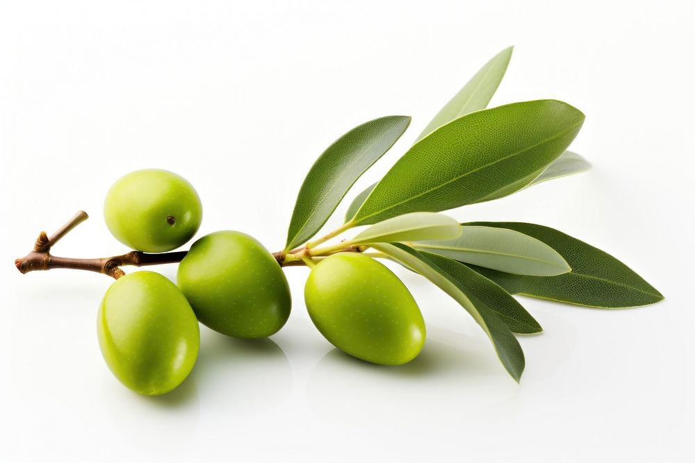 Olives plant green leaf. AI generated Image by rawpixel.
