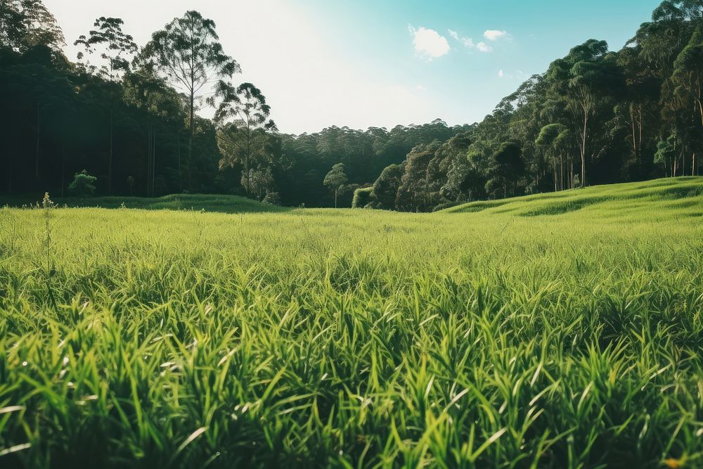 Jungle grass field landscape. AI generated Image by rawpixel.