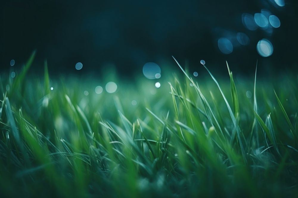 Grass green backgrounds outdoors. AI generated Image by rawpixel.