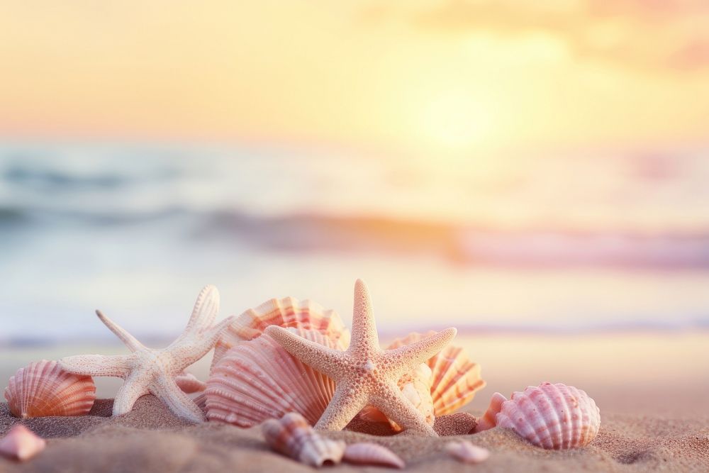 Sandy beach seashell outdoors starfish. AI generated Image by rawpixel.