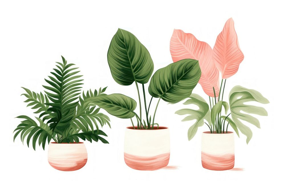 Houseplants leaf vase creativity. AI generated Image by rawpixel.