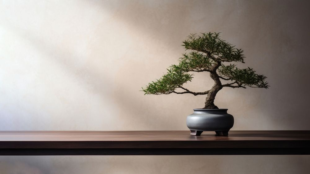 photo of a bonsai tree in the room. AI generated Image by rawpixel. 