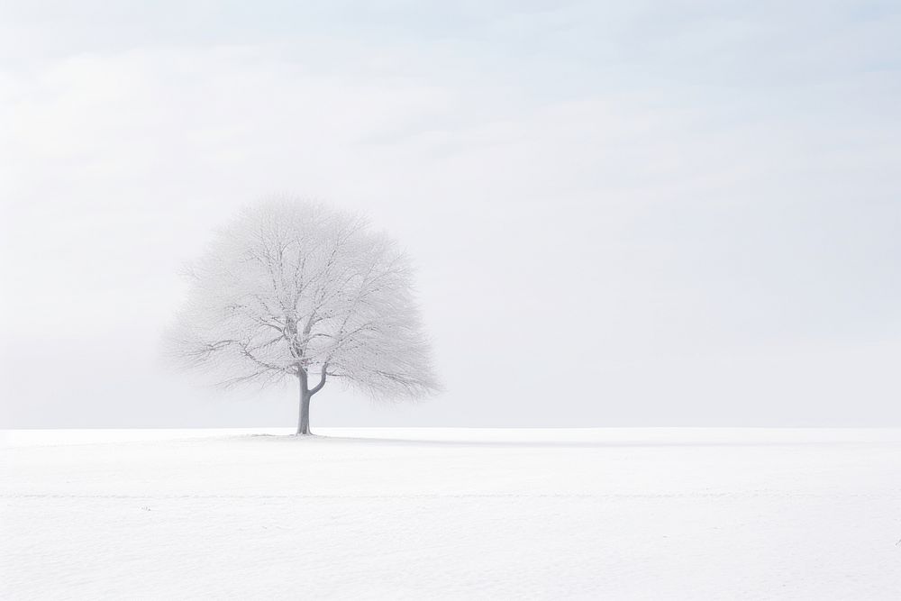 Winter landscape outdoors plant white. AI generated Image by rawpixel.